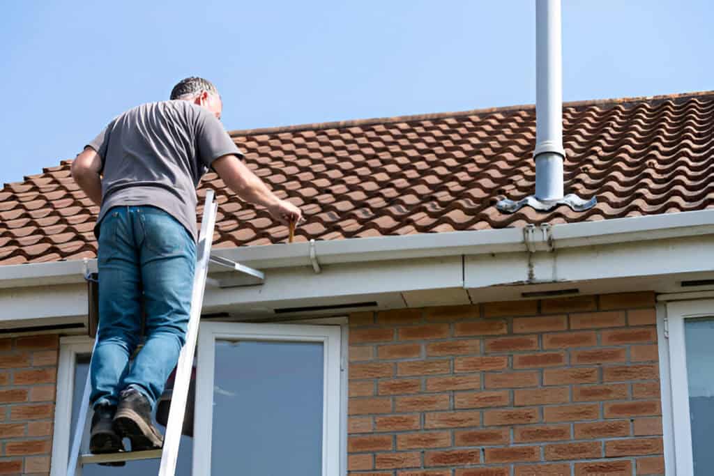 DIY Roof Cleaning