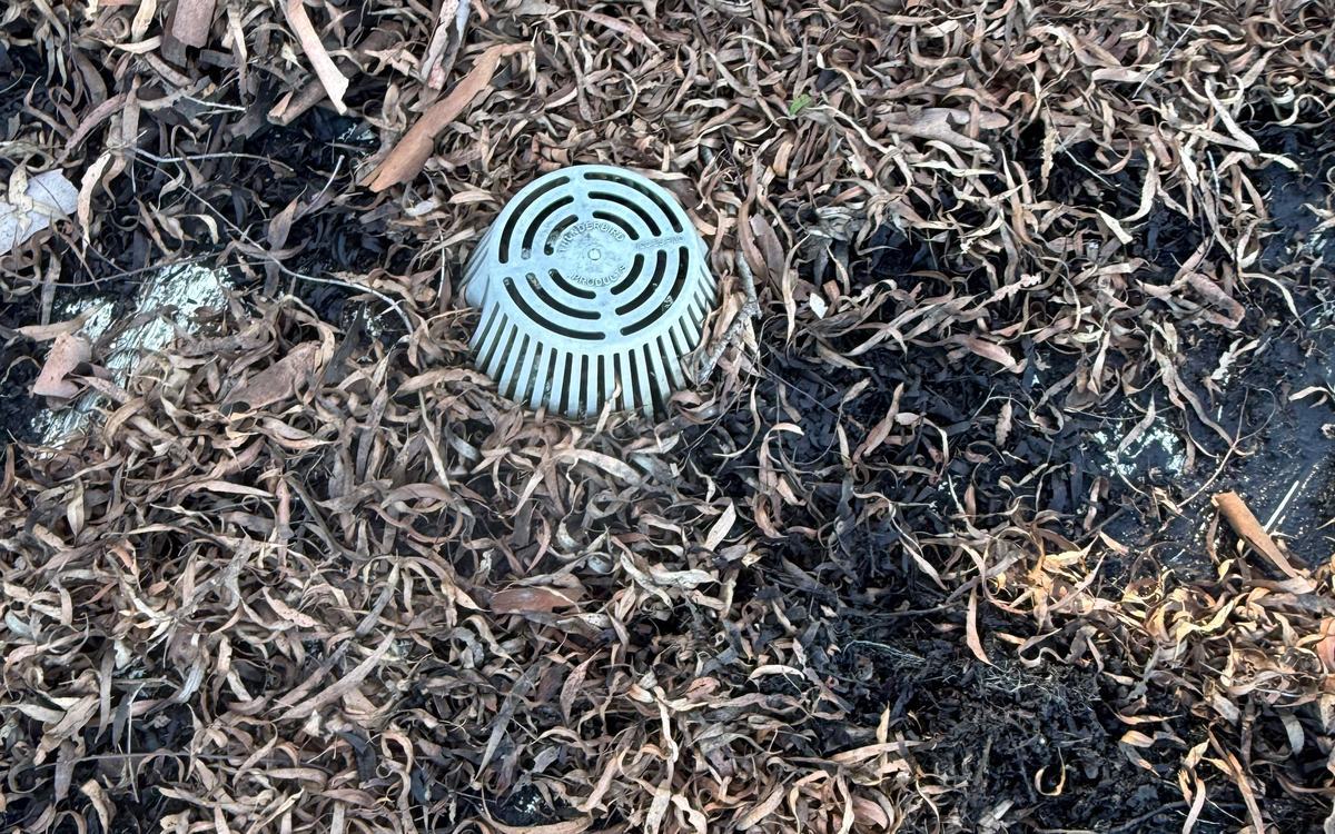 Yard drain buried under leaves before cleaning