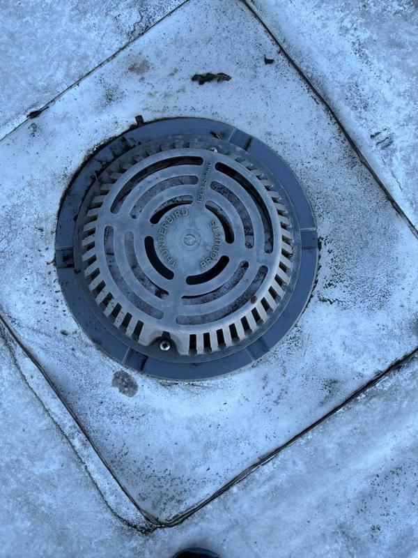 Drain grate cleared of debris