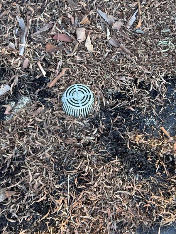 Yard drain buried under leaves before cleaning