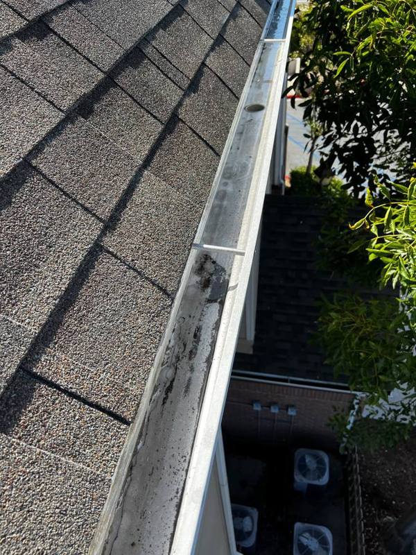 Gutter cleaned out along a shingle roof