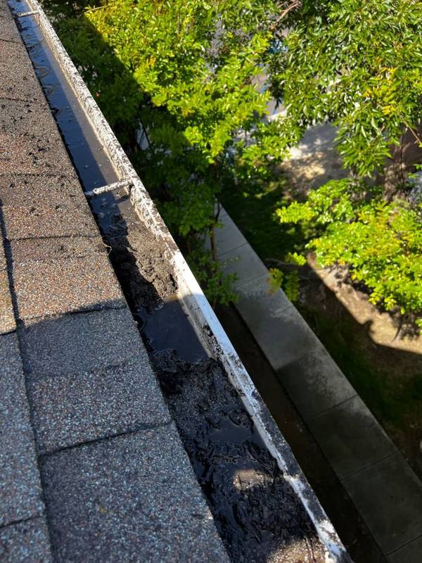 Gutter full of dirt and wet debris