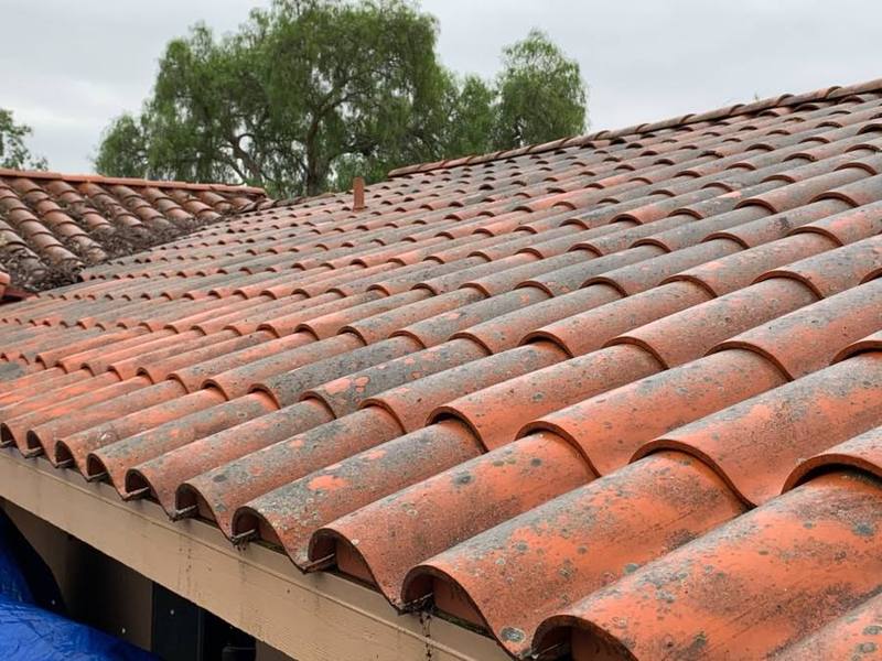 Tile roof with algae before cleaning