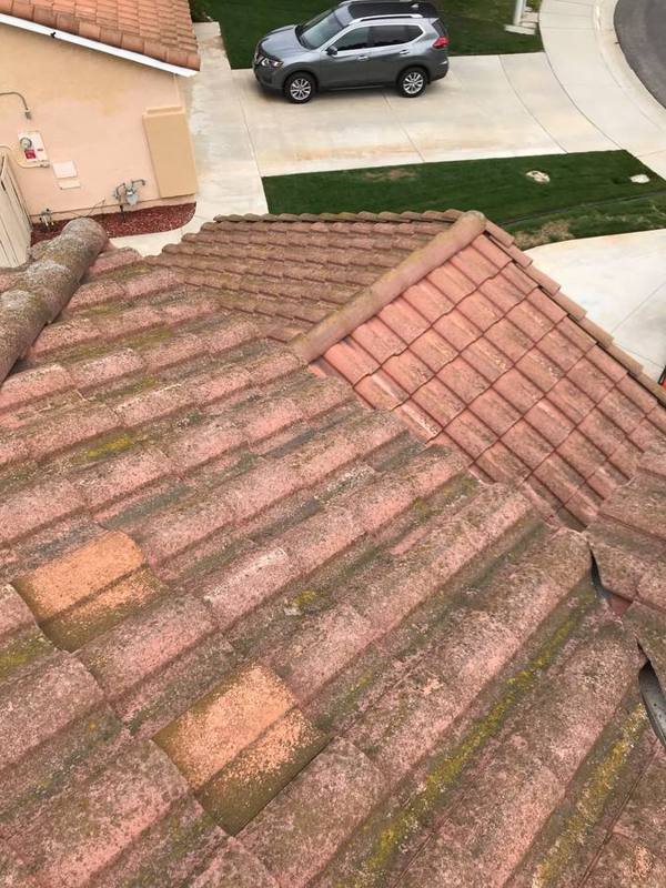 Tile roof with moss before cleaning